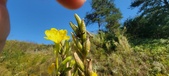 Enlarge photo 184