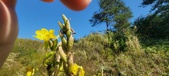 Enlarge photo 181
