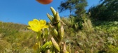 Enlarge photo 182