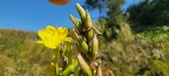 Enlarge photo 180