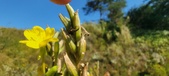 Enlarge photo 179