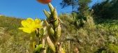 Enlarge photo 178