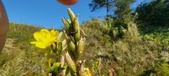 Enlarge photo 176