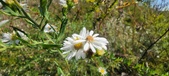 Enlarge photo 174