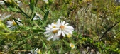 Enlarge photo 173