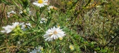 Enlarge photo 171