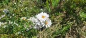 Enlarge photo 169