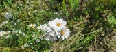 Enlarge photo 168