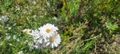 Enlarge photo 167