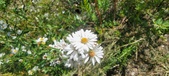 Enlarge photo 166