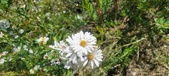 Enlarge photo 165