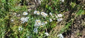 Enlarge photo 159