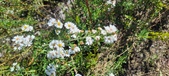 Enlarge photo 158