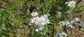 Enlarge photo 157
