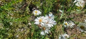 Enlarge photo 156