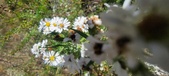 Enlarge photo 153