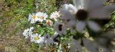Enlarge photo 152