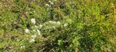 Enlarge photo 151
