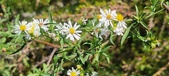 Enlarge photo 150