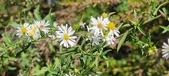 Enlarge photo 149