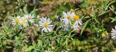 Enlarge photo 148