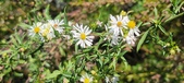 Enlarge photo 147
