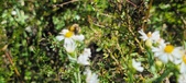 Enlarge photo 146