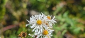 Enlarge photo 145
