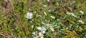 Enlarge photo 140