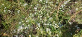 Enlarge photo 139