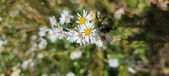 Enlarge photo 134