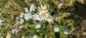 Enlarge photo 133