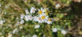 Enlarge photo 132
