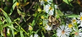 Enlarge photo 131
