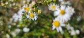 Enlarge photo 128