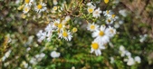 Enlarge photo 127