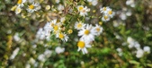 Enlarge photo 125