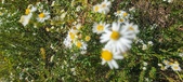 Enlarge photo 124