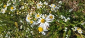 Enlarge photo 123
