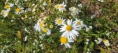 Enlarge photo 122