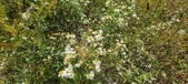 Enlarge photo 119