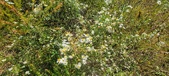 Enlarge photo 118