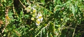 Enlarge photo 116