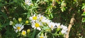 Enlarge photo 115