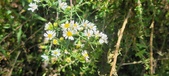 Enlarge photo 114