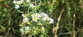 Enlarge photo 113