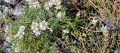 Enlarge photo 112