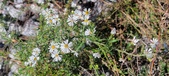 Enlarge photo 111