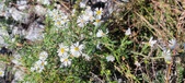 Enlarge photo 110