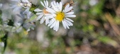 Enlarge photo 102